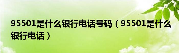 95501是什么银行电话号码（95501是什么银行电话）