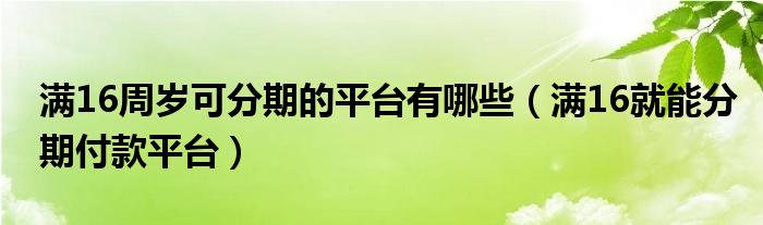 满16周岁可分期的平台有哪些（满16就能分期付款平台）