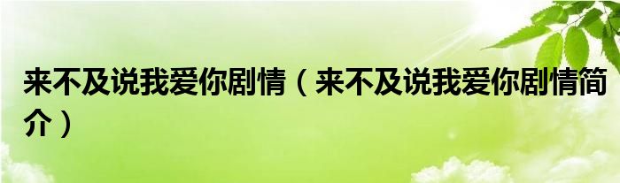 来不及说我爱你剧情（来不及说我爱你剧情简介）