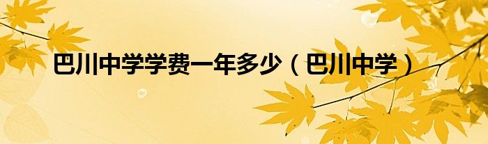 巴川中学学费一年多少（巴川中学）