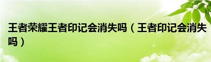 王者荣耀王者印记会消失吗（王者印记会消失吗）