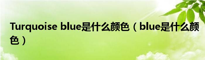 Turquoise blue是什么颜色（blue是什么颜色）