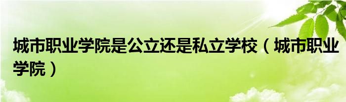 城市职业学院是公立还是私立学校（城市职业学院）