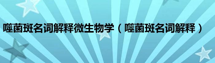 噬菌斑名词解释微生物学（噬菌斑名词解释）