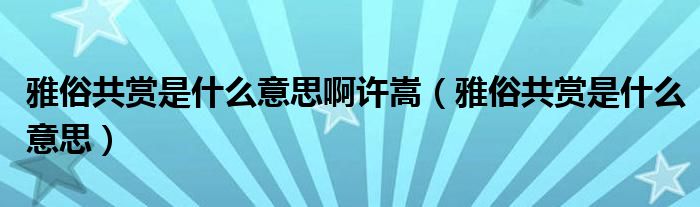 雅俗共赏是什么意思啊许嵩（雅俗共赏是什么意思）