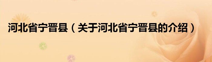 河北省宁晋县（关于河北省宁晋县的介绍）