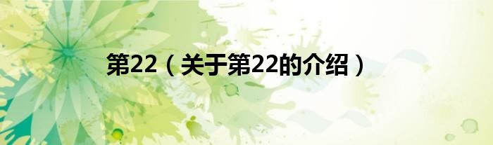 第22（关于第22的介绍）