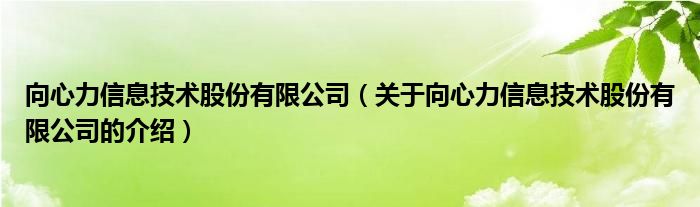 向心力信息技术股份有限公司（关于向心力信息技术股份有限公司的介绍）