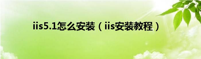 iis5.1怎么安装（iis安装教程）