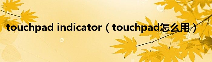 touchpad indicator（touchpad怎么用）