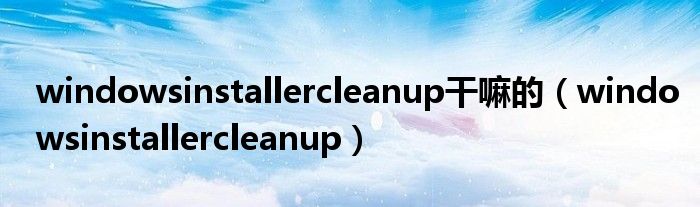 windowsinstallercleanup干嘛的（windowsinstallercleanup）