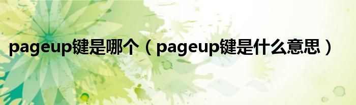 pageup键是哪个（pageup键是什么意思）