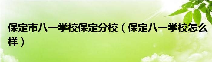 保定市八一学校保定分校（保定八一学校怎么样）