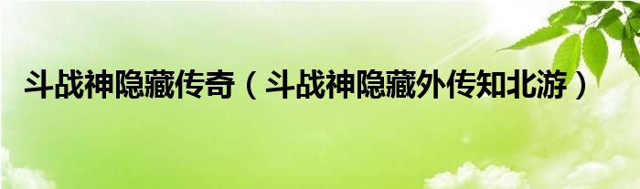 斗战神隐藏传奇（斗战神隐藏外传知北游）