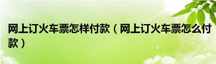 网上订火车票怎样付款（网上订火车票怎么付款）