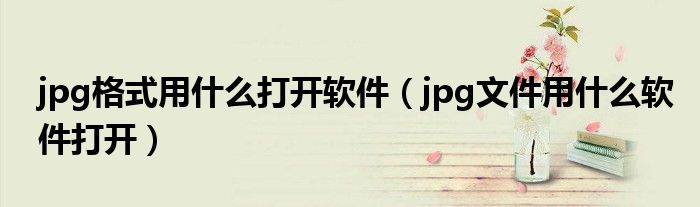 jpg格式用什么打开软件（jpg文件用什么软件打开）