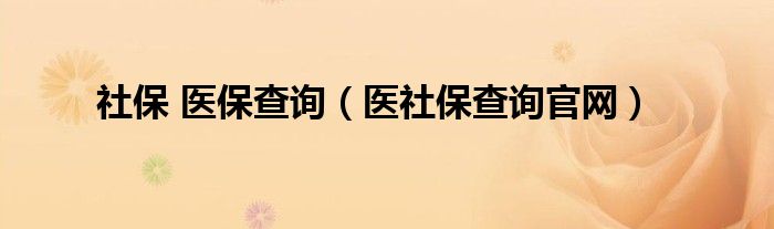 社保 医保查询（医社保查询官网）