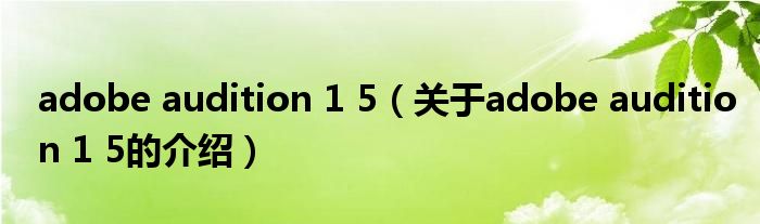 adobe audition 1 5（关于adobe audition 1 5的介绍）