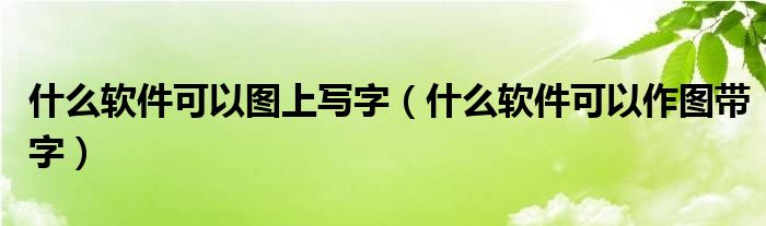 什么软件可以图上写字（什么软件可以作图带字）