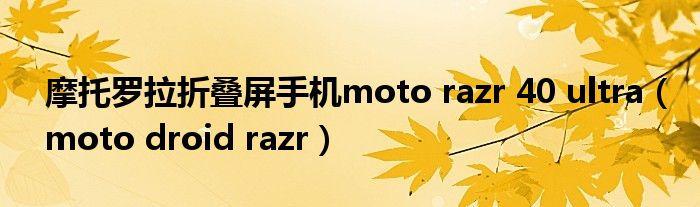 摩托罗拉折叠屏手机moto razr 40 ultra（moto droid razr）