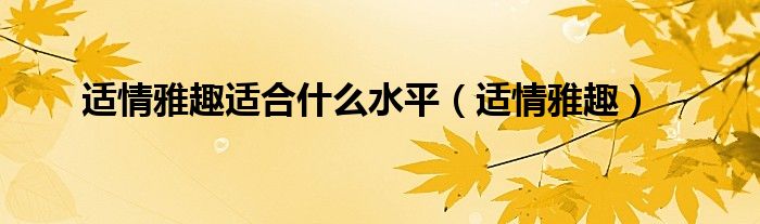 适情雅趣适合什么水平（适情雅趣）