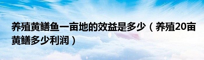 养殖黄鳝鱼一亩地的效益是多少（养殖20亩黄鳝多少利润）