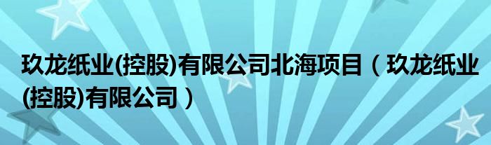 玖龙纸业(控股)有限公司北海项目（玖龙纸业(控股)有限公司）