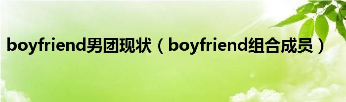 boyfriend男团现状（boyfriend组合成员）