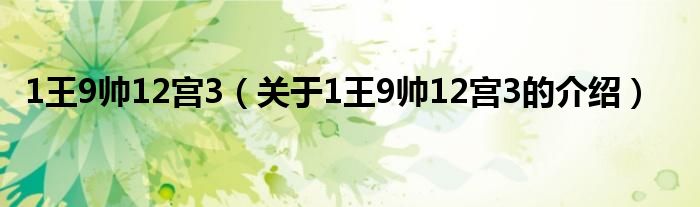 1王9帅12宫3（关于1王9帅12宫3的介绍）