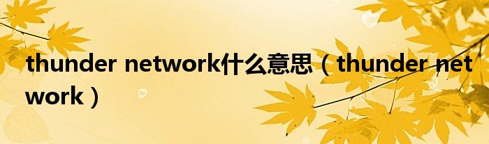 thunder network什么意思（thunder network）