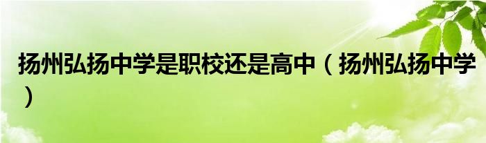 扬州弘扬中学是职校还是高中（扬州弘扬中学）