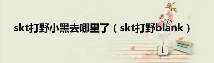 skt打野小黑去哪里了（skt打野blank）