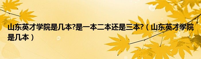 山东英才学院是几本?是一本二本还是三本?（山东英才学院是几本）