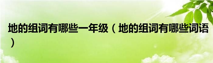 地的组词有哪些一年级（地的组词有哪些词语）