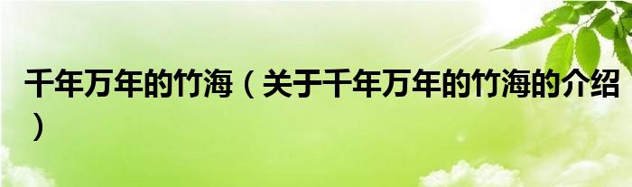 千年万年的竹海（关于千年万年的竹海的介绍）