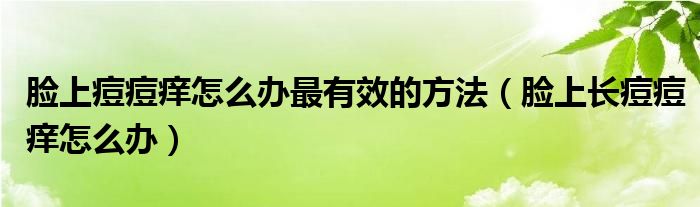 脸上痘痘痒怎么办最有效的方法（脸上长痘痘痒怎么办）