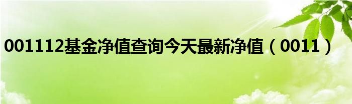 001112基金净值查询今天最新净值（0011）