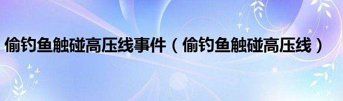 偷钓鱼触碰高压线事件（偷钓鱼触碰高压线）