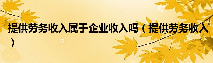 提供劳务收入属于企业收入吗（提供劳务收入）