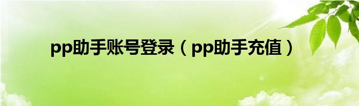 pp助手账号登录（pp助手充值）