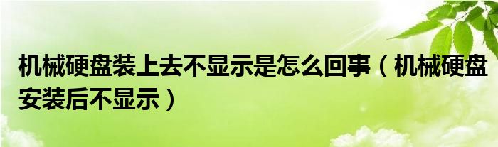 机械硬盘装上去不显示是怎么回事（机械硬盘安装后不显示）