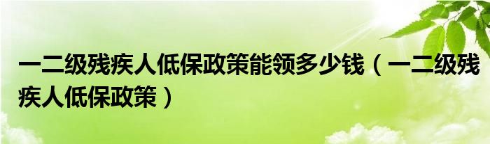 一二级残疾人低保政策能领多少钱（一二级残疾人低保政策）