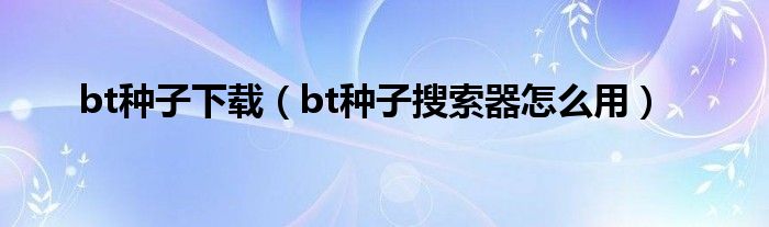 bt种子下载（bt种子搜索器怎么用）