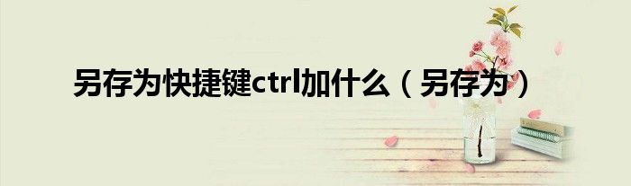 另存为快捷键ctrl加什么（另存为）