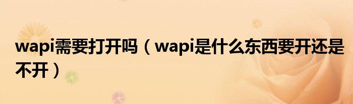 wapi需要打开吗（wapi是什么东西要开还是不开）