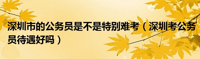 深圳市的公务员是不是特别难考（深圳考公务员待遇好吗）