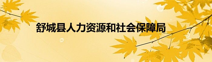 舒城县人力资源和社会保障局