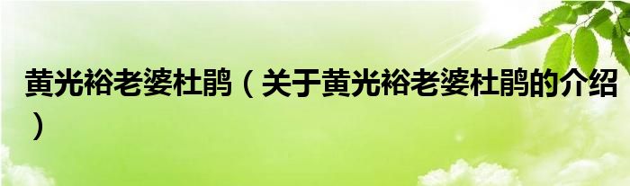 黄光裕老婆杜鹃（关于黄光裕老婆杜鹃的介绍）