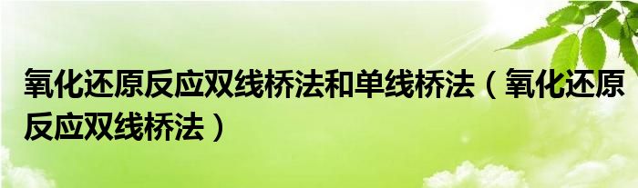 氧化还原反应双线桥法和单线桥法（氧化还原反应双线桥法）