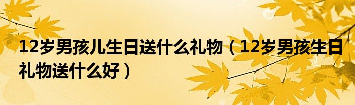 12岁男孩儿生日送什么礼物（12岁男孩生日礼物送什么好）